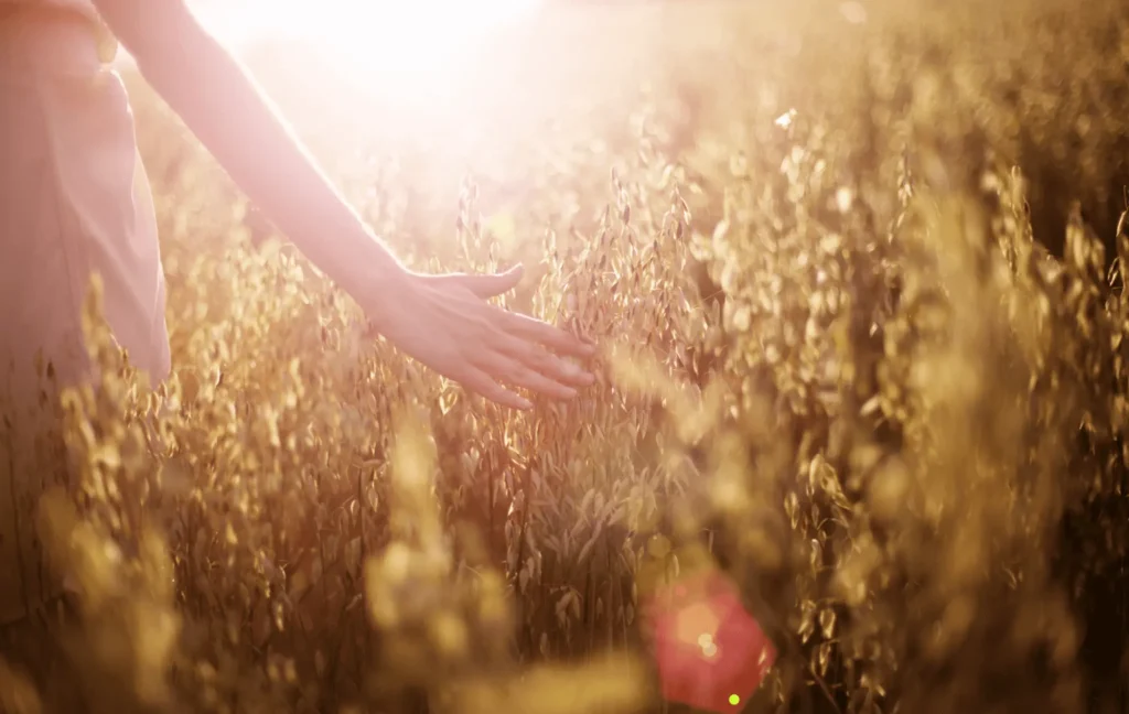 A woman walks through a field.