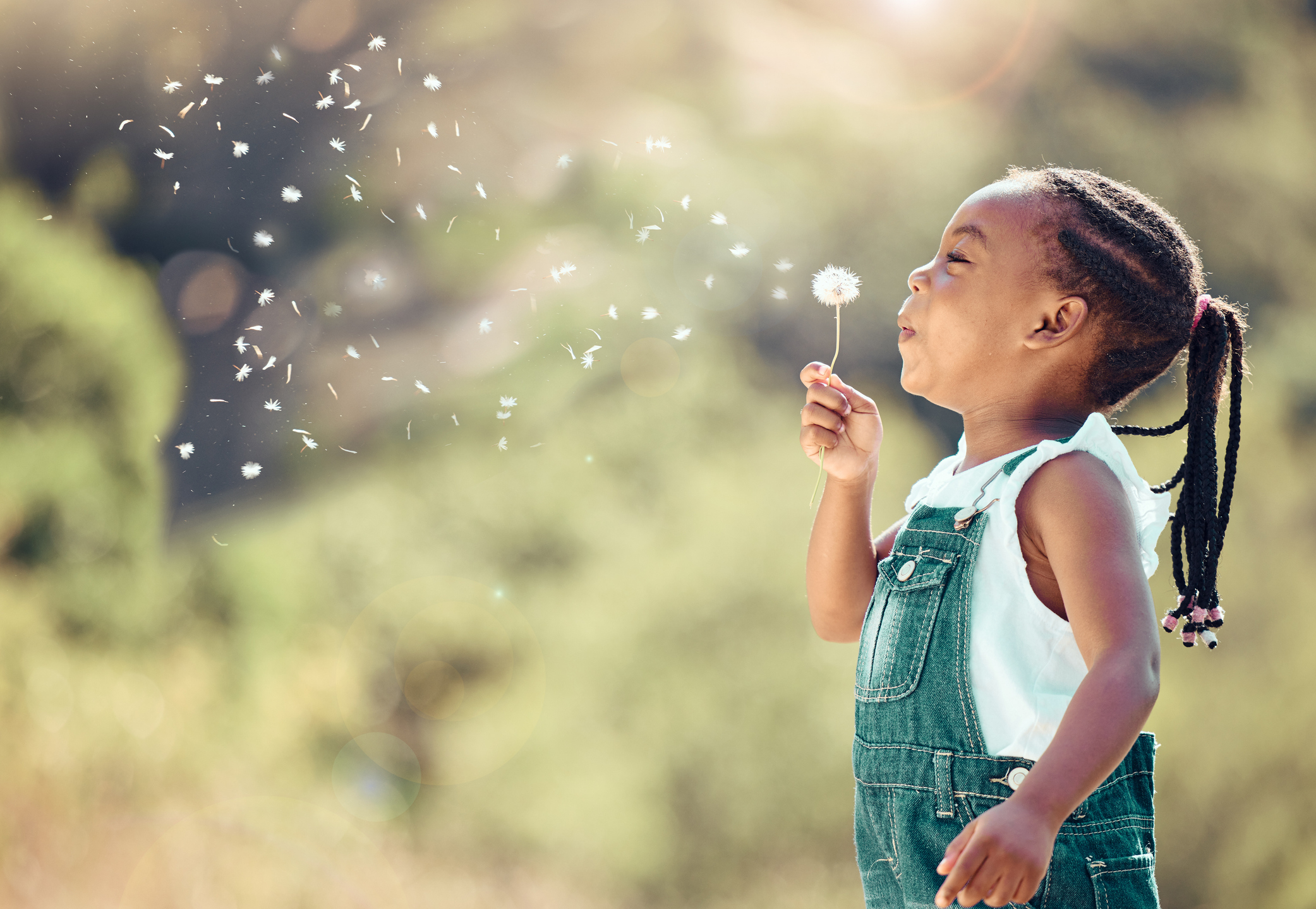 Seasonal Allergies: How to Find Relief and Breathe Easier